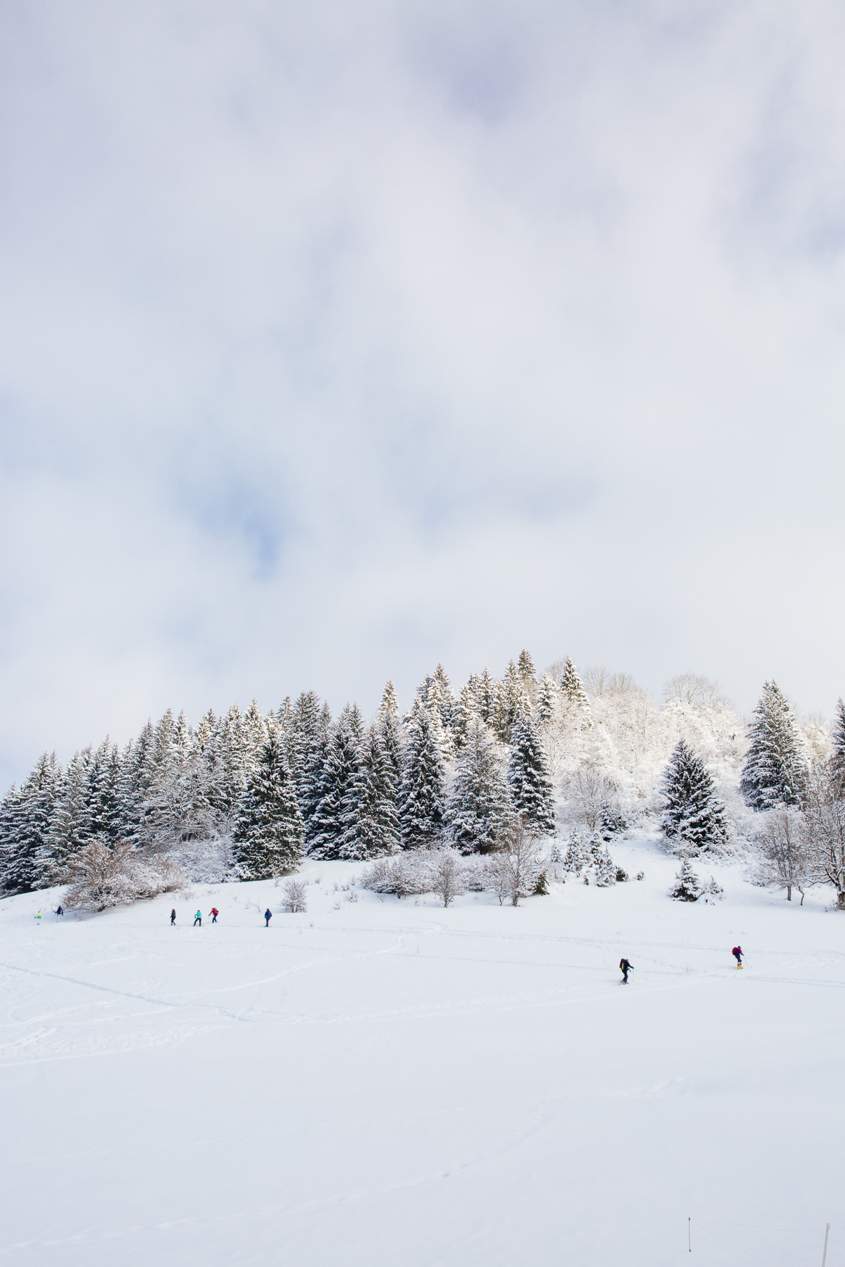 Oréade | Comment venir nous rendre visite ? 