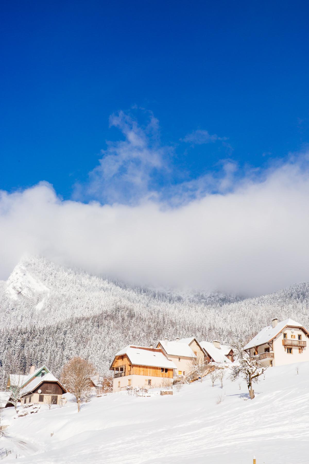 Oréade | Comment venir nous rendre visite ? 